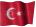 türkçe